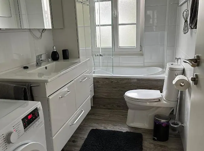 Apartment Gemuetliche In Zentraler Lage Graz